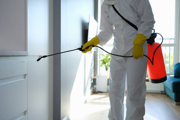 Best Residential Mold Remediation in Edisto, SC