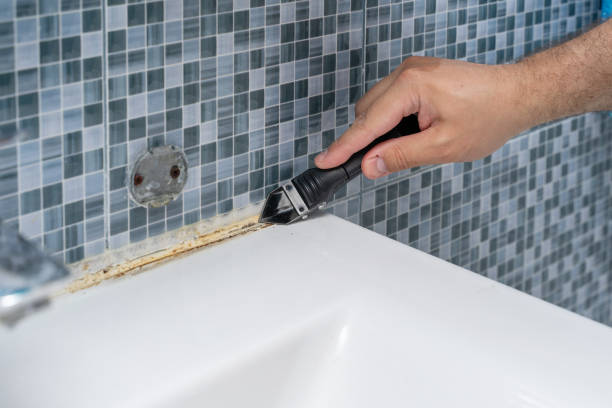 Best Health and Safety Mold Remediation in Edisto, SC